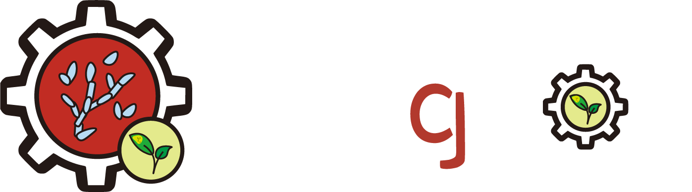 Fungtion logo