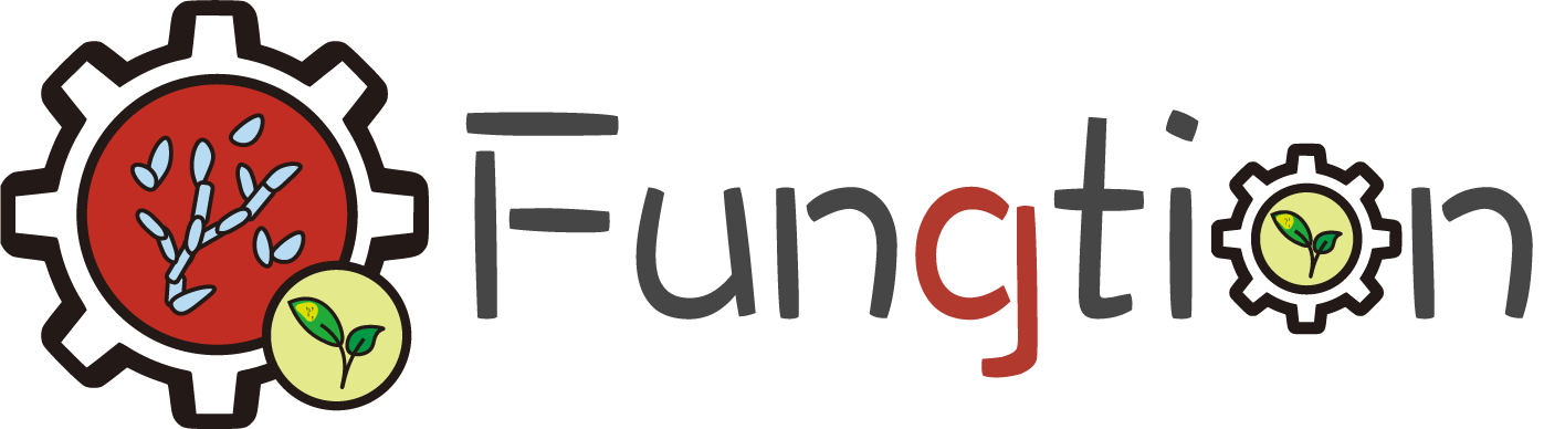 Fungtion logo